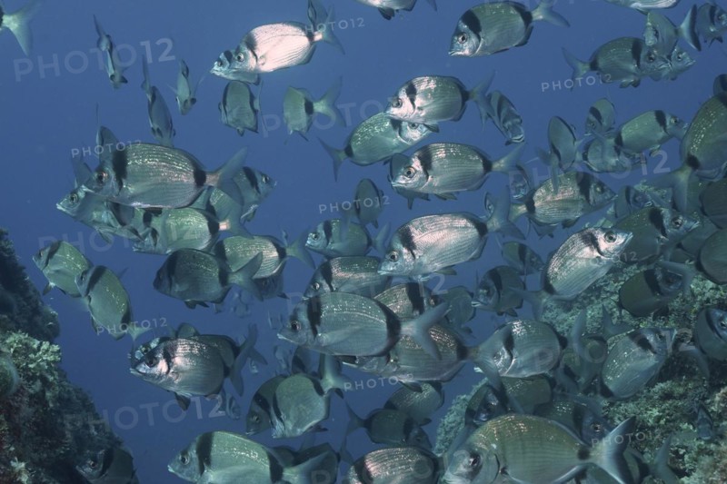 Group