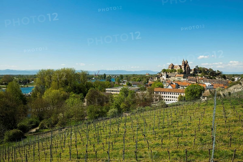 View from the Eckhartsberg on the old town with the Romanesque St. Stephen's Minster and the Rhine