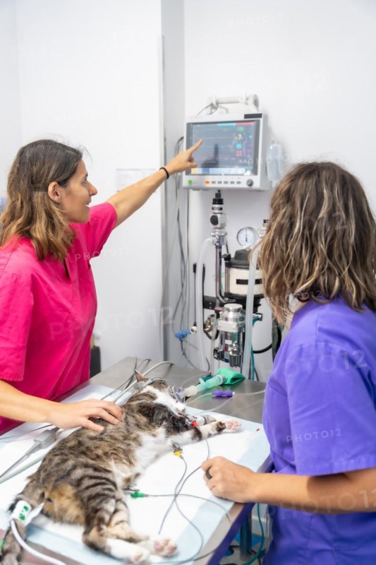 Veterinary clinic
