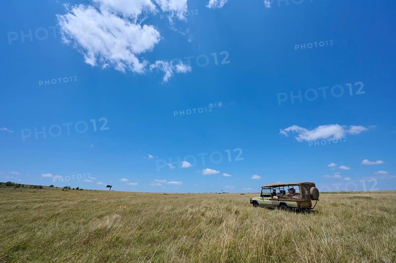 Savannah Landscape with Safari Car