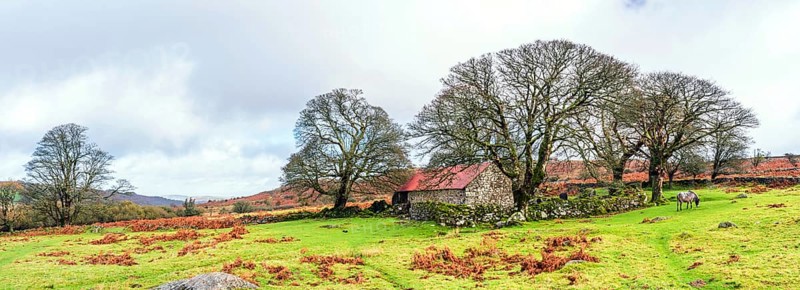 Panorama of Emsworthy Mire