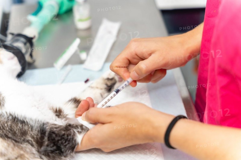 Veterinary clinic