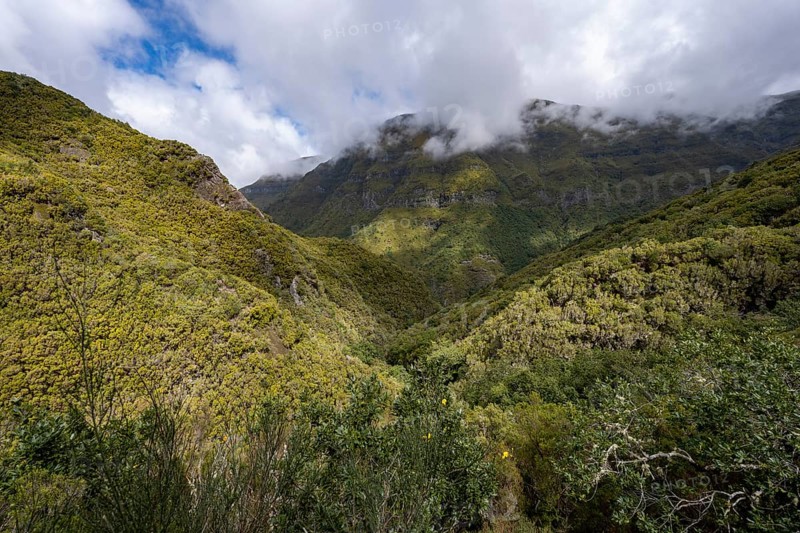 Cloudy forested mountains