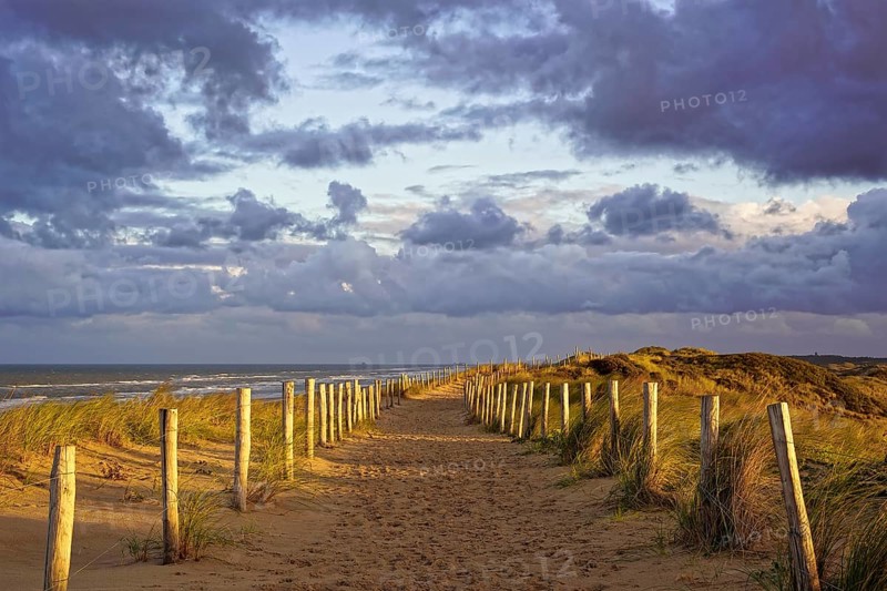 North Sea