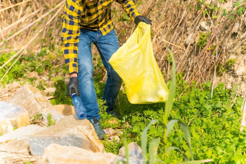 Unrecognizable person collecting plastics in a forest. Ecology concept