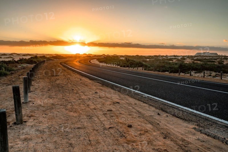 Empty asphalt road through the desert or dunes. Sunrise over the road