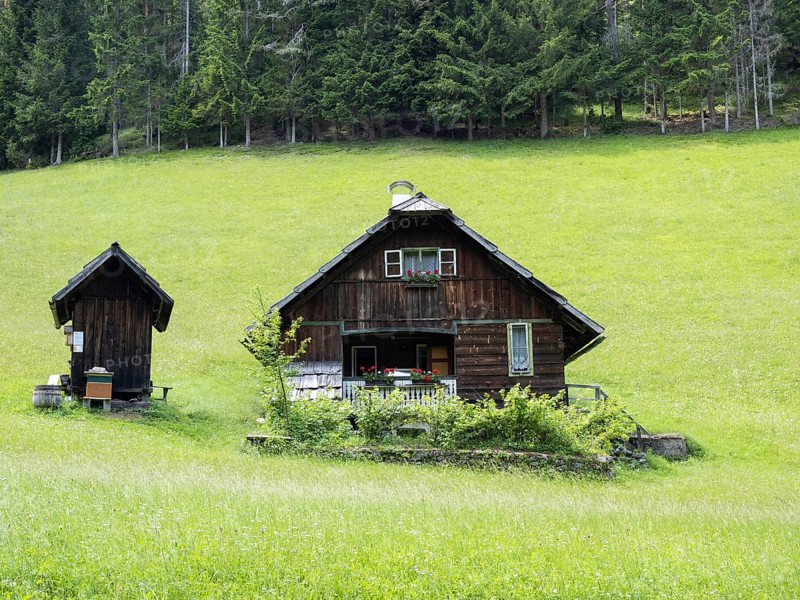 Old farm