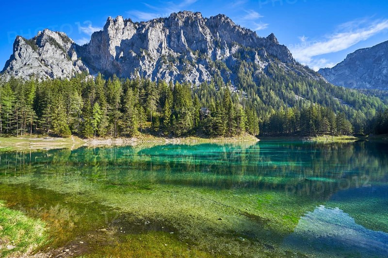 Green lake on a sunny day