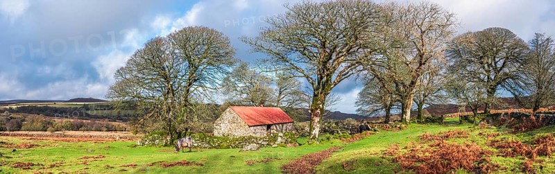 Panorama of Emsworthy Mire