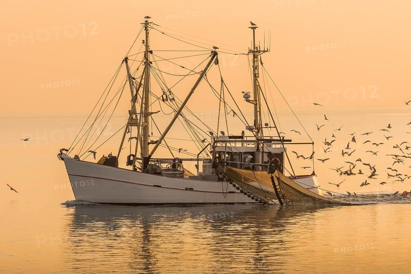 Fishing boat trawling in the North Sea