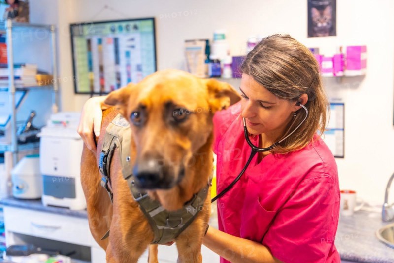 Veterinary clinic