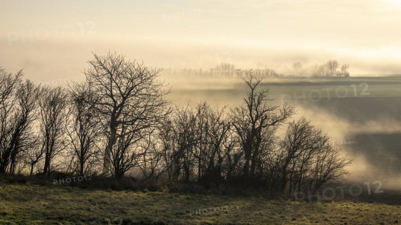 Morning atmosphere