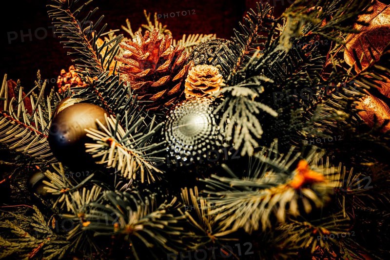 Christmas bouquet of spruce