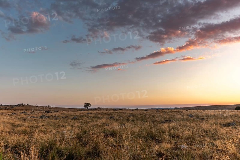 Landscape of Cantal at sunset. France