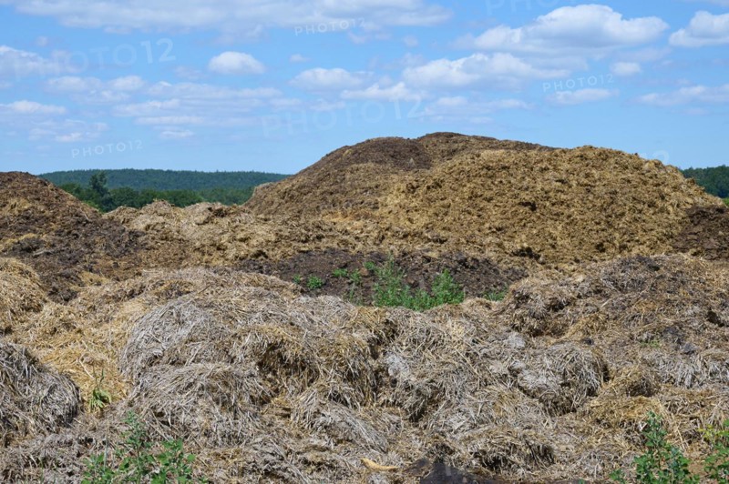 Muck heap