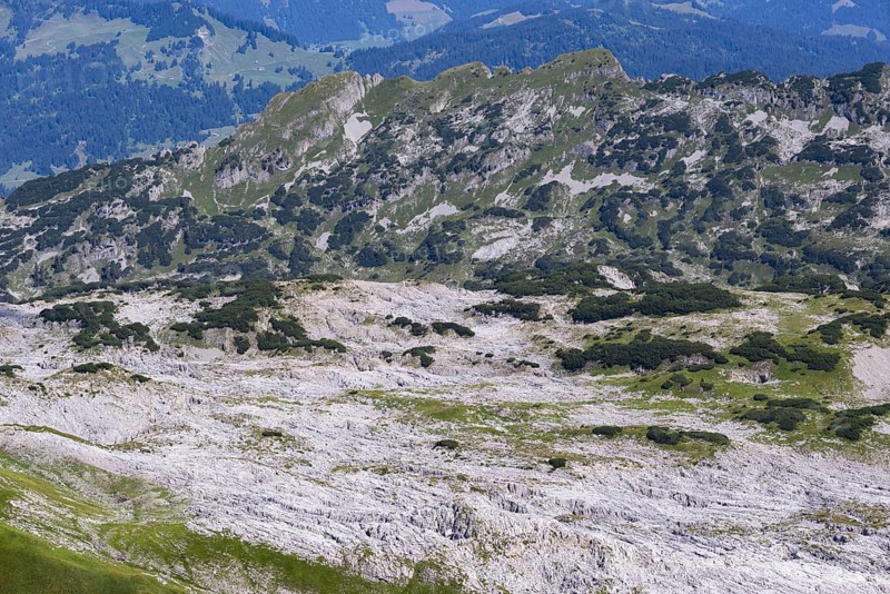 View from Hoher Ifen