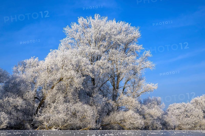 River landscape with hoarfrost and ice
