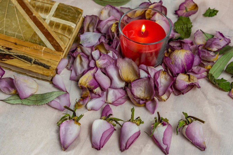 Dried roses