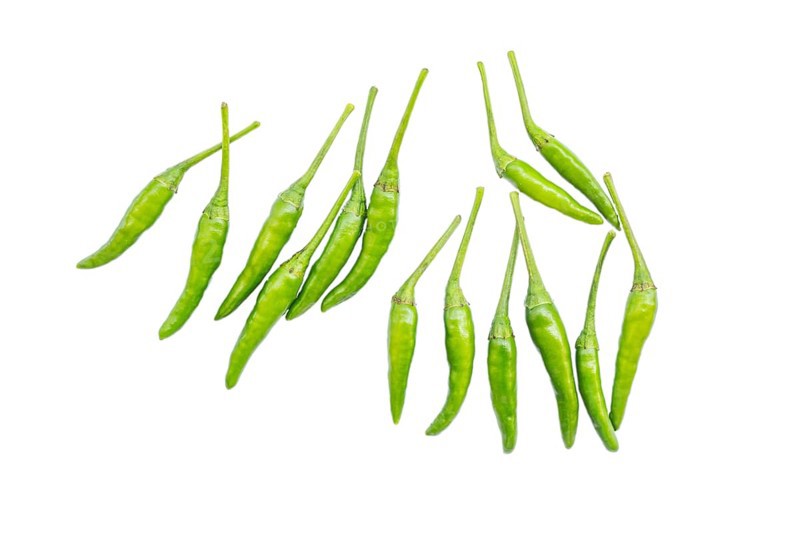 Small green chillies also known as Capsicum annuum