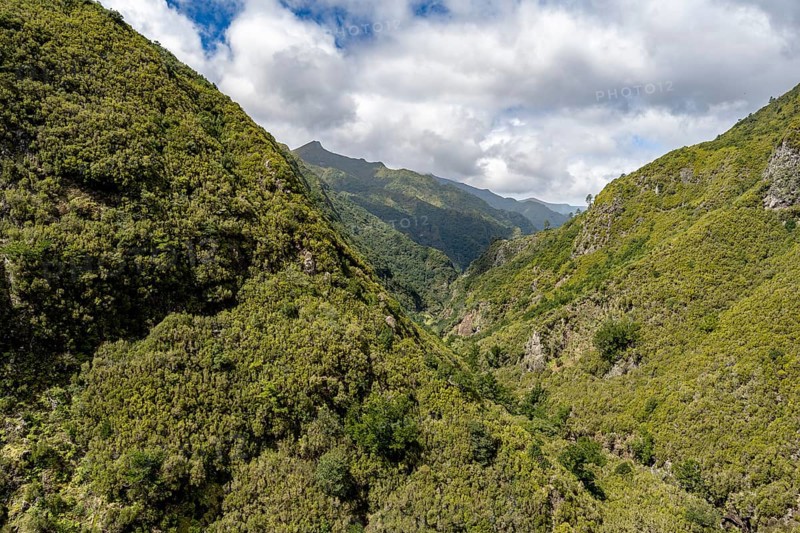 Wooded mountains