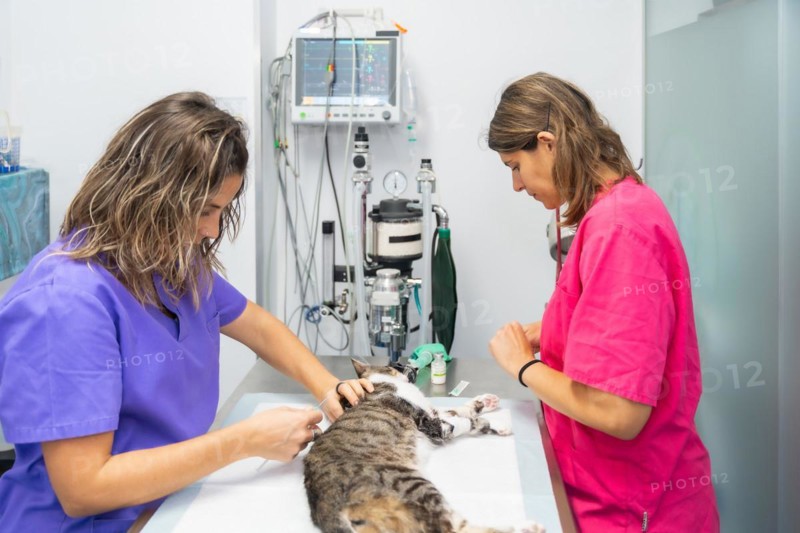 Veterinary clinic
