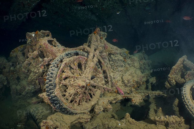 World War II motorbike in the hold of the Thistlegorm. Dive site Thistlegorm wreck