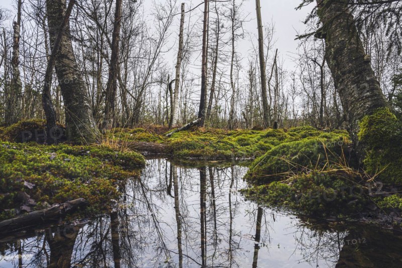 Nature reserve