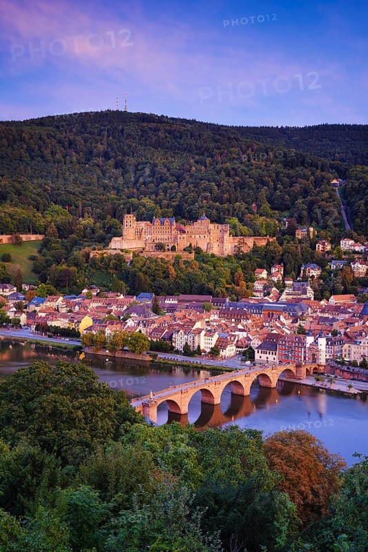 View of Heidelberg