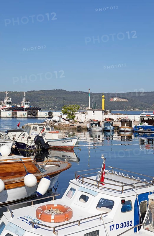 Boats in the harbour