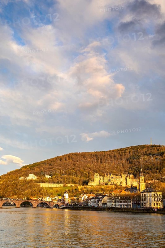View of Heidelberg
