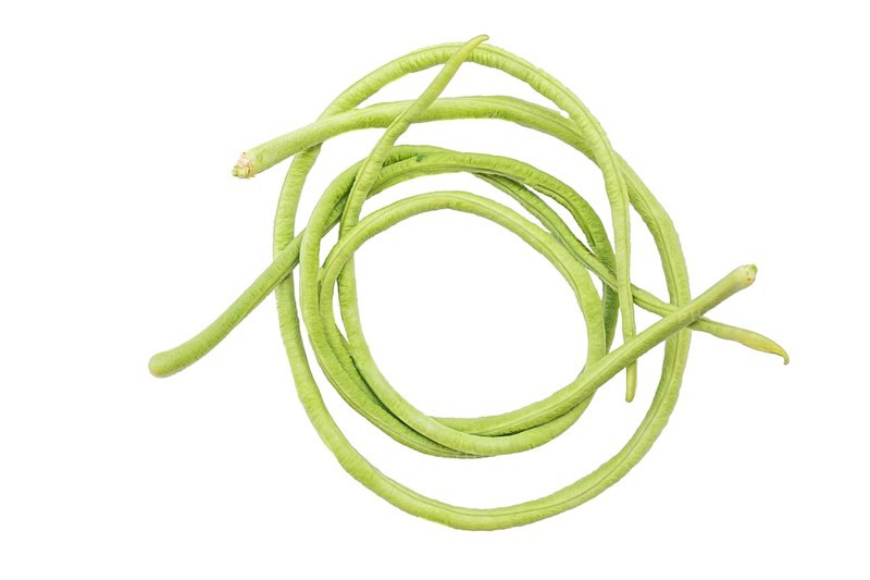 Closeup of the long bean or asparagus bean also known as the long-podded cowpea