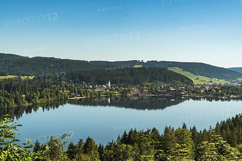 View over the Titisee in the morning light