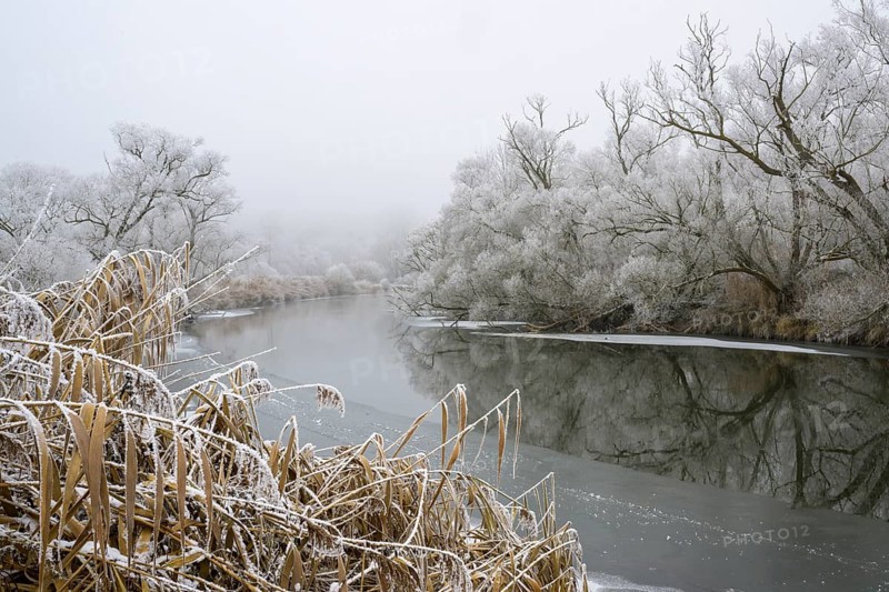 River landscape