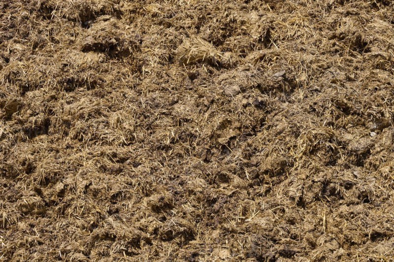 Muck heap