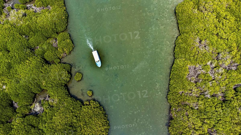 Aerial of the Mangrove forest