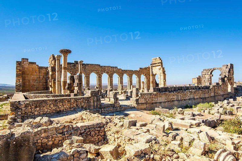 Well-preserved roman ruins in Volubilis