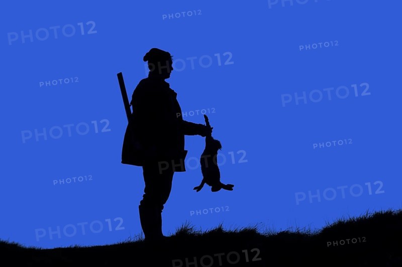 Hunter with gun holding killed brown hare silhouetted against sunset