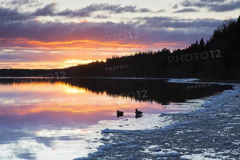 Loch Morlich at sunset in winter