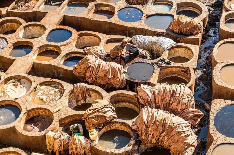 Famous skin tannery in Fes
