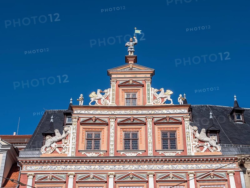 Detail Splendid facade decoration on the Haus zum Breiten Herd