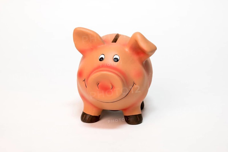 Pink piggy bank made of clay