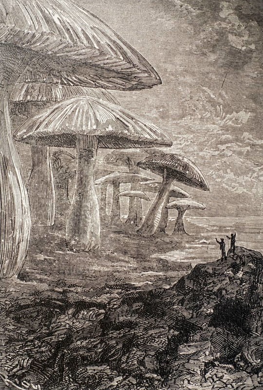1864 book illustration showing giant mushrooms from science fiction novel Journey to the Center of the Earth by French writer