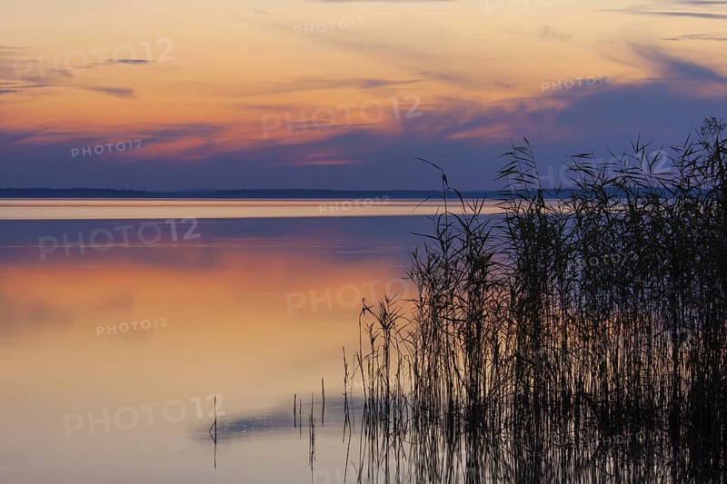 Lake Mueritz at sunset in the Mueritz National Park