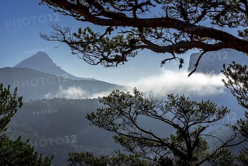 Parc naturel regional du Verdon