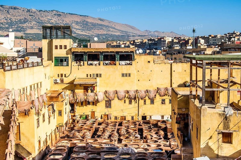 Famous skin tannery in Fes