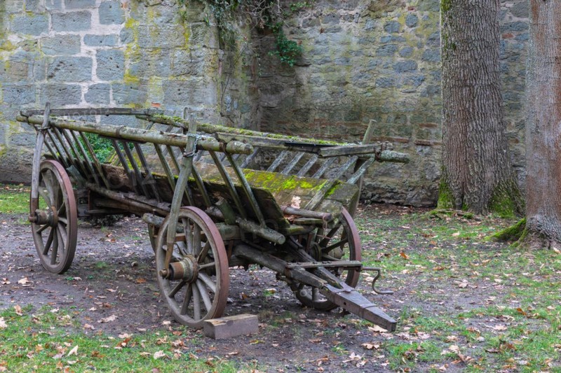 Ladder wagon