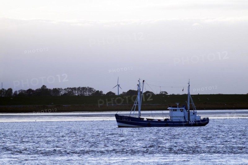 Fishing cutter on the Unterweser near Blexen