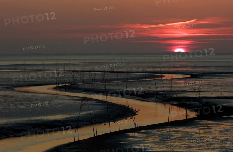 The shipping channel in the mudflats for shrimp trawlers in Wremertief at sunset