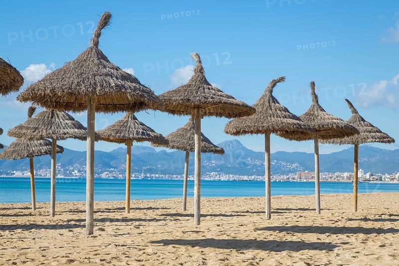 Empty beach with parasols