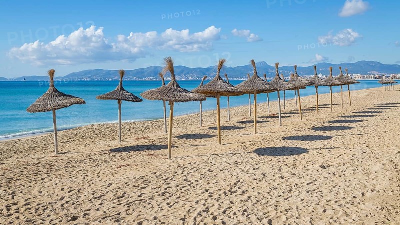 Empty beach with parasols